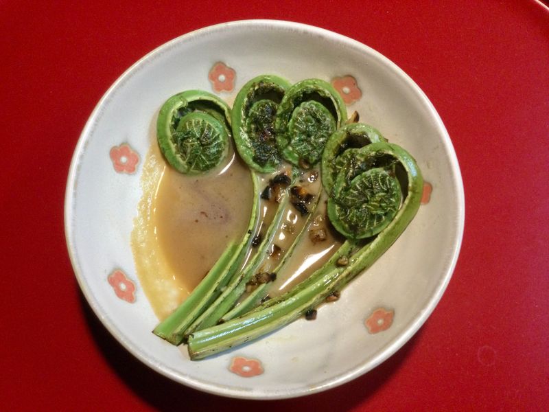 TtoE First fiddleheads photo