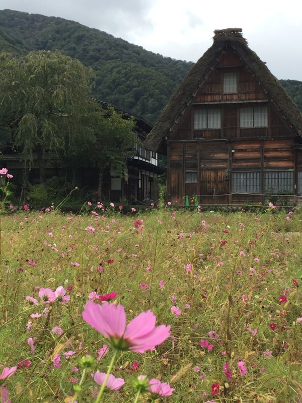 Early autumn at Shirakawago photo