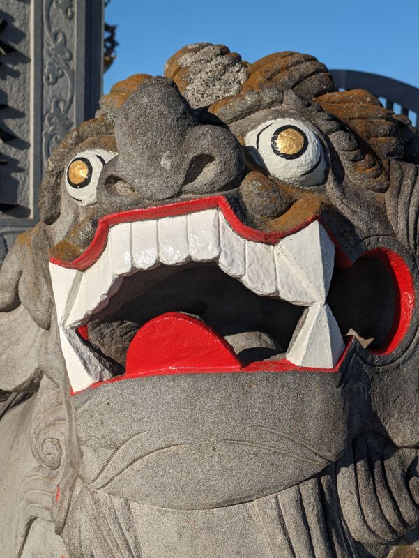 A day to think About Dental and Oral Health Through Flossing photo