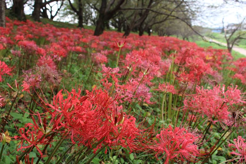Microseason: Heat Starts to Cool Down photo