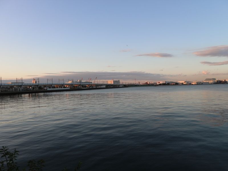 Tokyo bayside jogging just about about makes it worthwhile photo