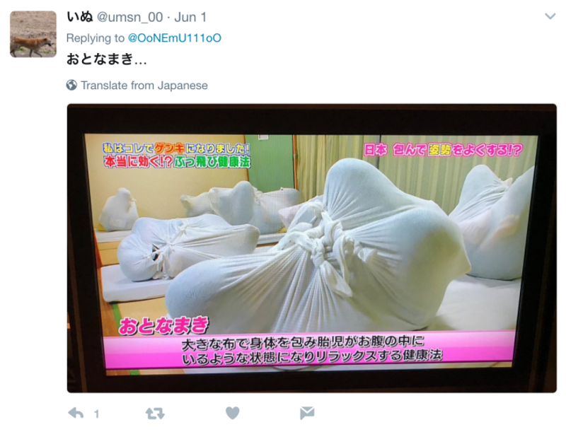 Strange or novel ways to relax in Japan, what they might say about society photo