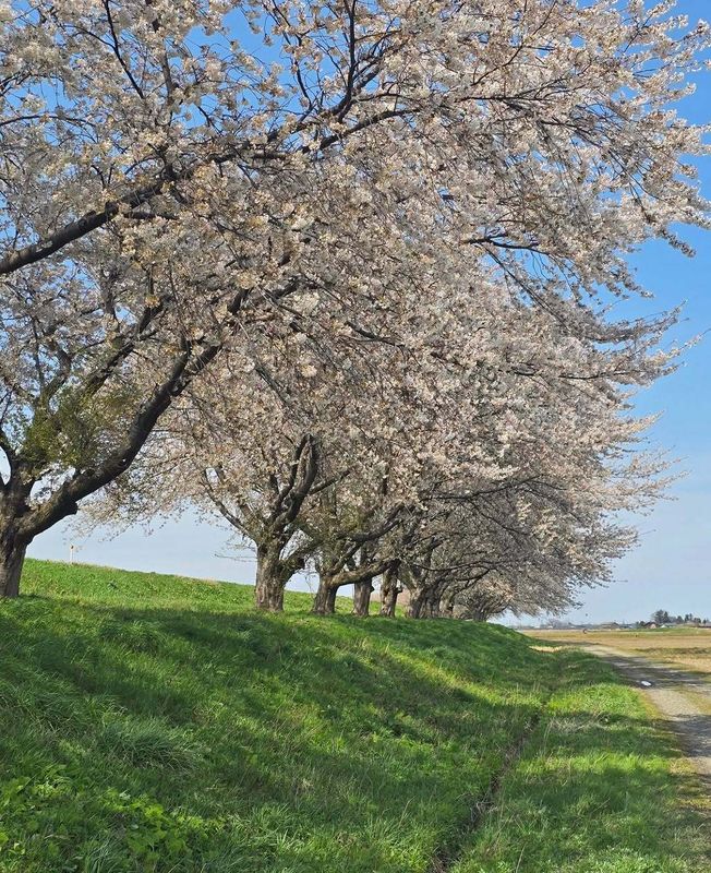 The latest edition of "this is why we can't have nice things" photo