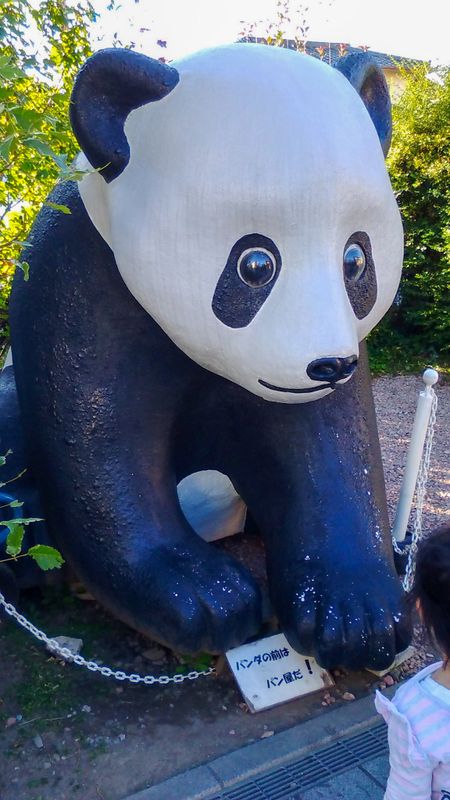 Apply now to see the pandas before they leave Japan  photo