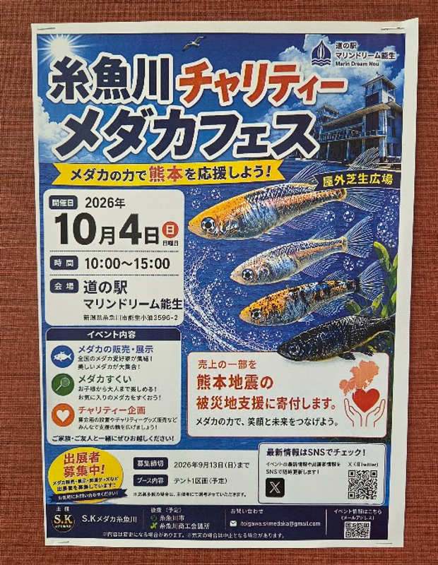 A Charity Medaka Festival in Itoigawa this October photo