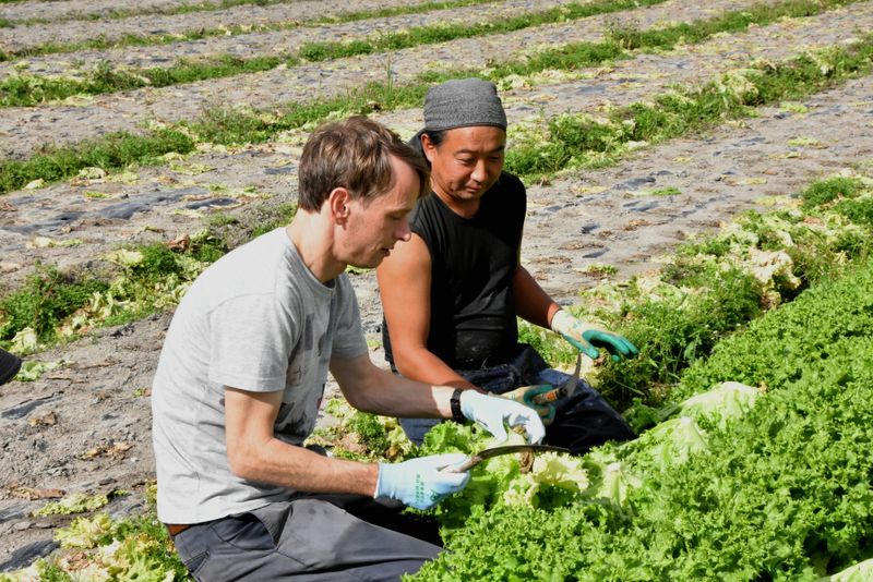 Agricultural experience offers glimpse of promising future for farming in Japan photo