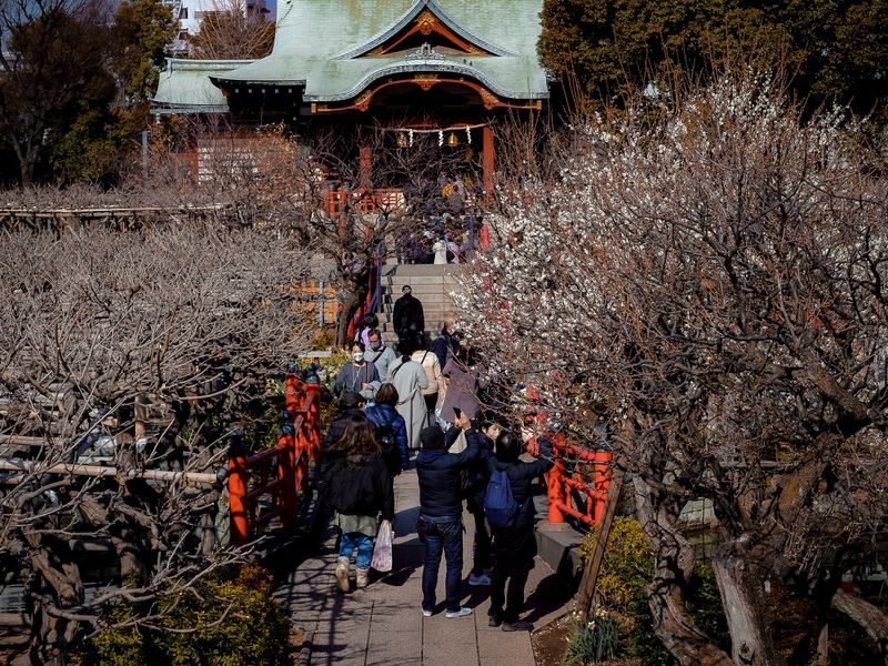 Images of Japan: February 2023 photo