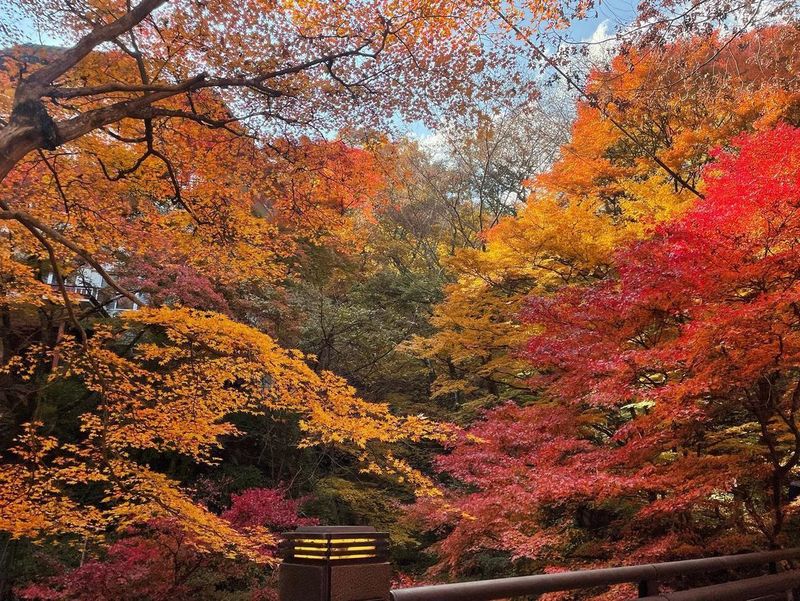 Gunma's Ikaho Onsen area delivers the autumnal goods, again [SPOT REPORT] CityCost