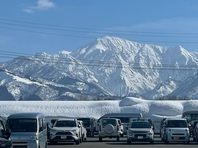 Driving trips getting more expensive, but families still hitting the road photo