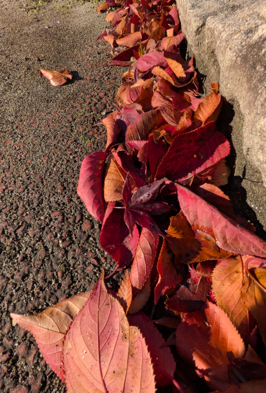 When Seasonal Depression Hits Early photo