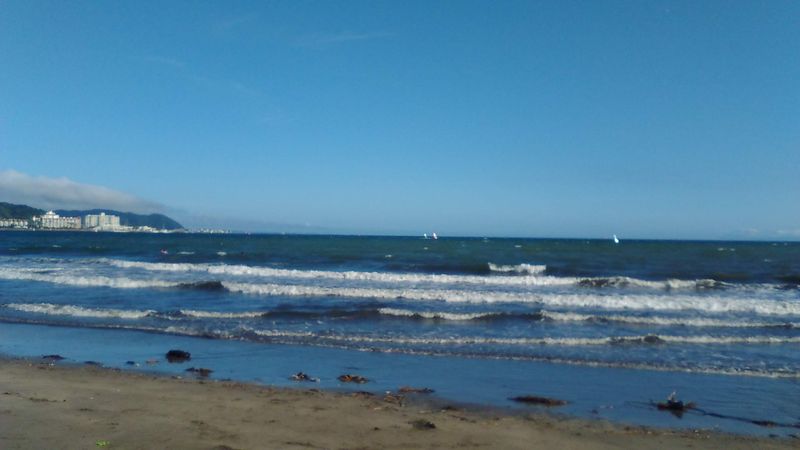 Celebrating Marine Day photo