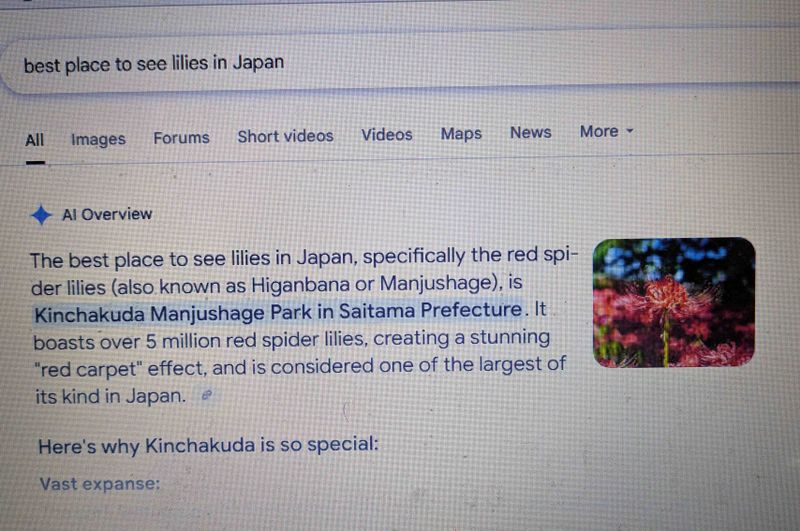 Why you shouldn't trust AI overviews for Japan photo