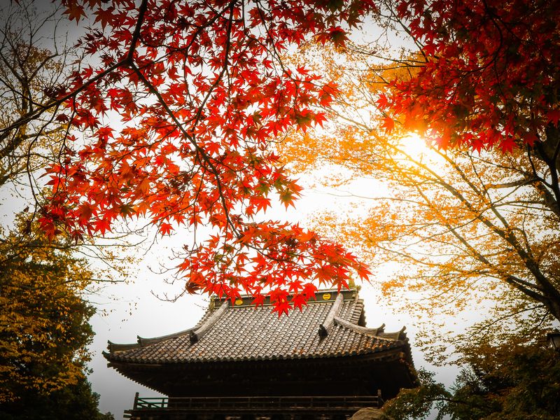 Images of Japan: November 2022 photo