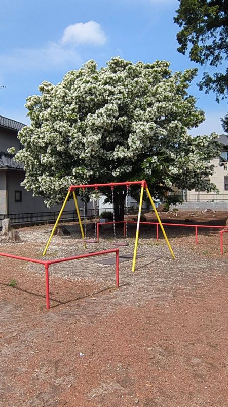 The Children's Charter in Japan photo