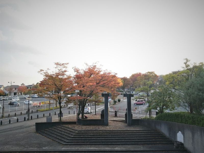 Explore Inagi City in Autumn! [SPOT REPORT] photo