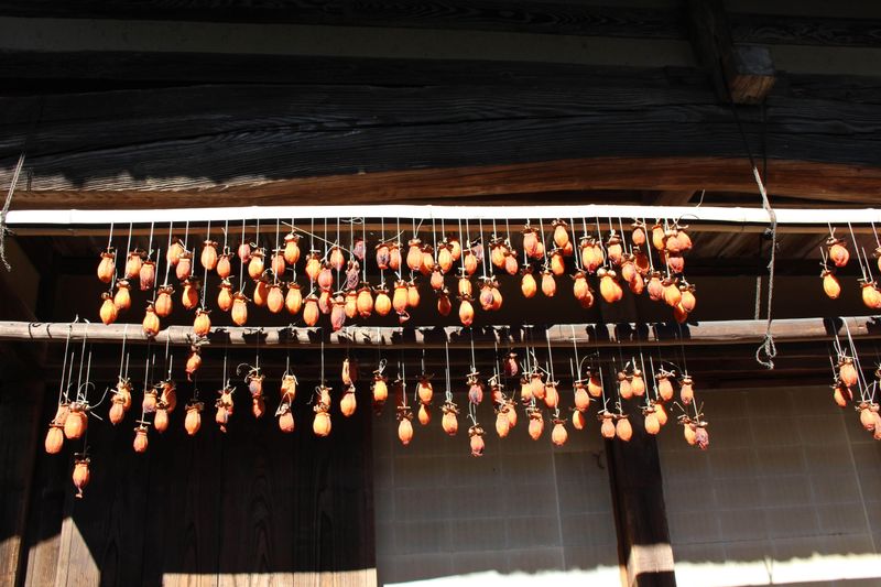 The beginning of winter photo