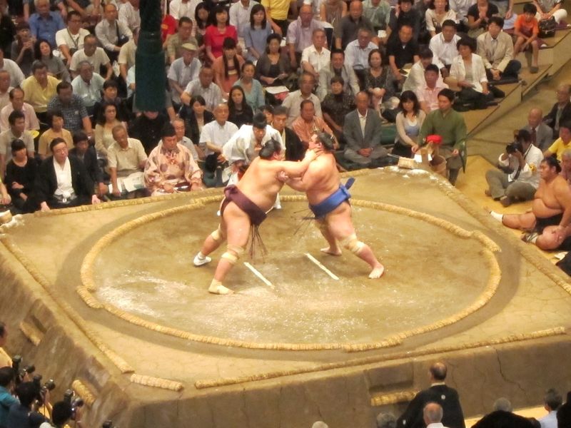 Experience a sumo game photo