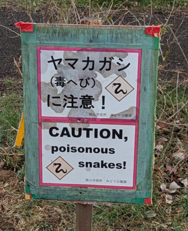 Wildlife to Watch Out For in Japan’s Forests photo