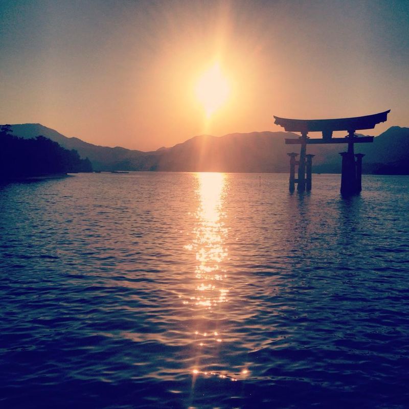 My own growth (and lack of it, in a good way) in Japan photo