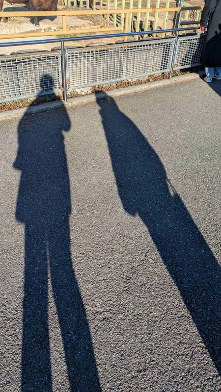 A shout out to big brothers everywhere! photo