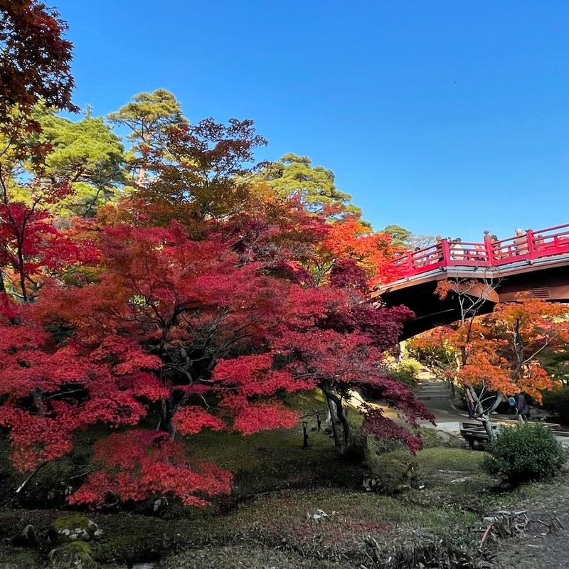 Attention to detail at Yahiko Park photo