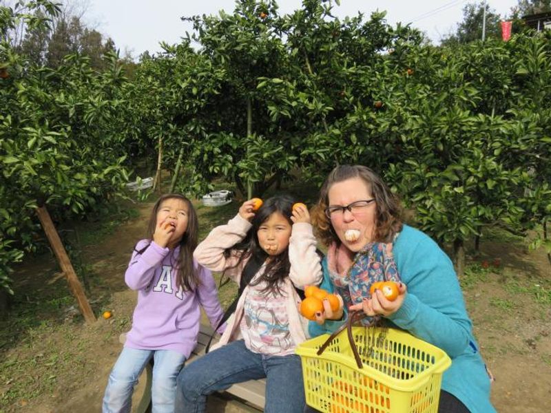 Hunting for oranges photo