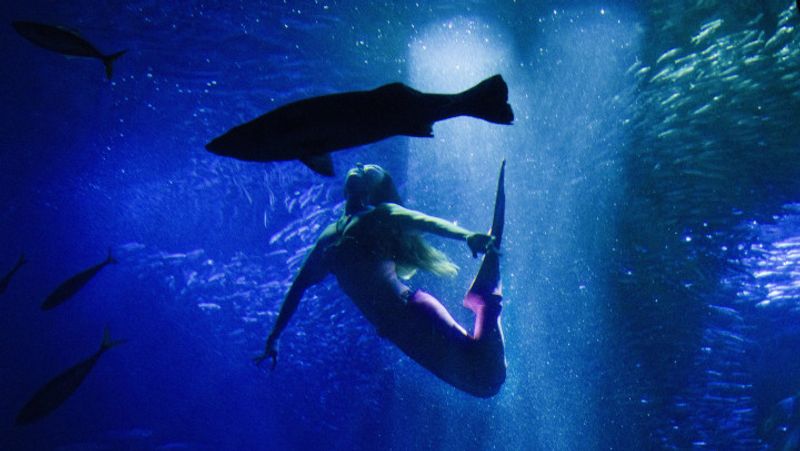 Enoshima Night Wonder Aquarium 2016: Lights, Sound, and Fish photo