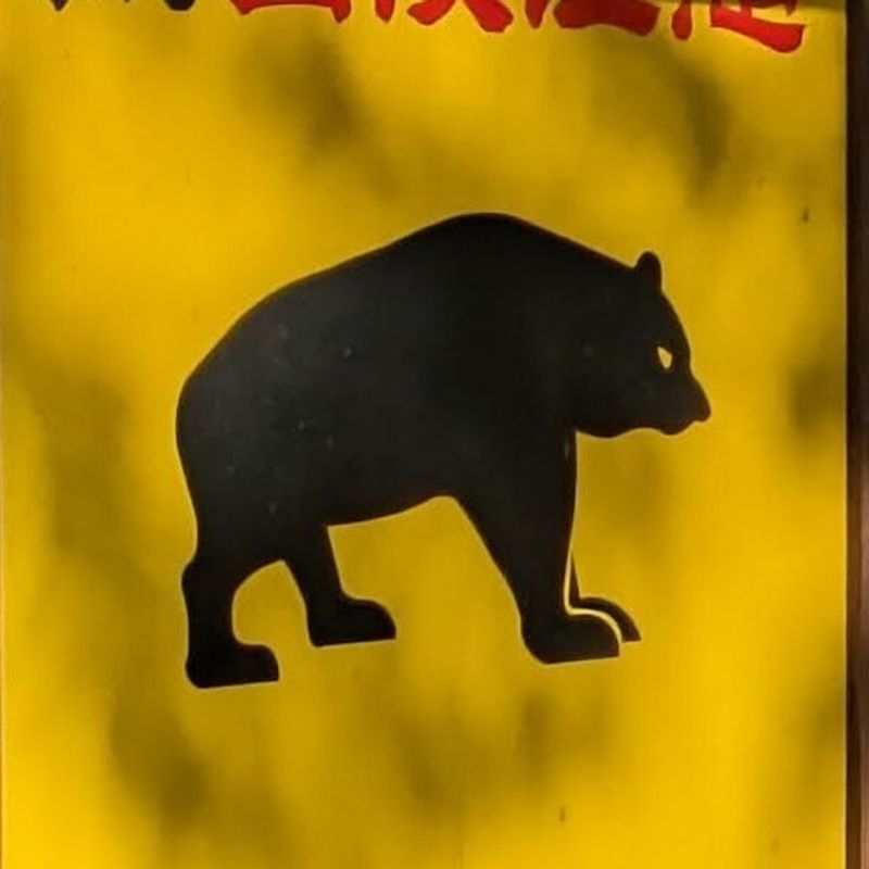 Wildlife hunting law changes in the face of bear crisis photo