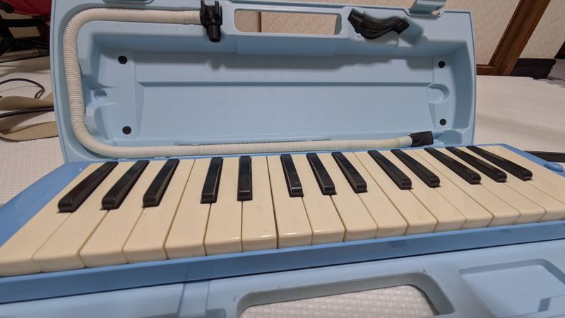 The keyboard harmonica in Japan photo