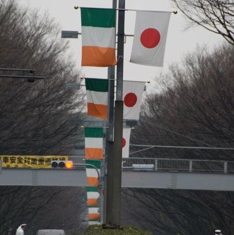 Is the Japan boom over in Ireland? photo