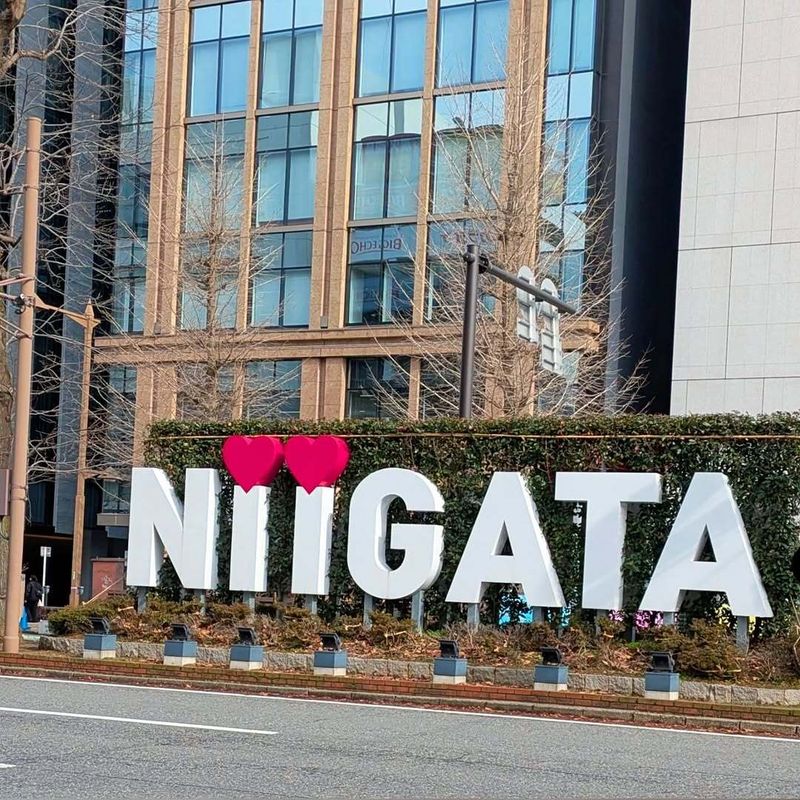 Rethinking walkability in Niigata photo