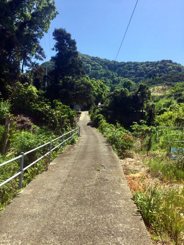 Journey Without a Plan - Aimless Wanders on Gogoshima. photo