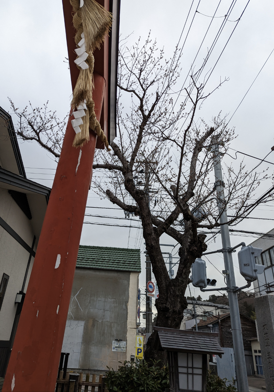 Okama Shrine in Shiogama: Wait for It. [SPOT REPORT] photo