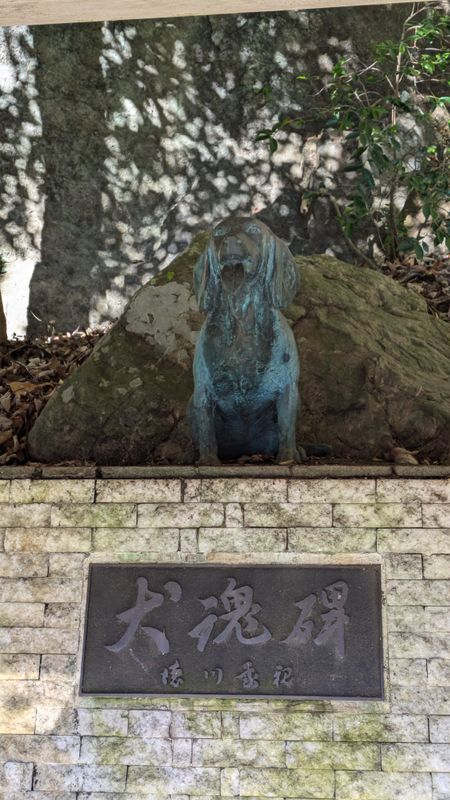 Moroyama's 'famous' dog photo