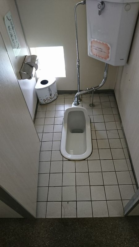 When You Gotta Squat: Squat Toilets and You | City-Cost