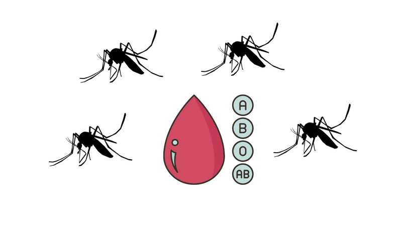 Mosquito bites and blood types photo