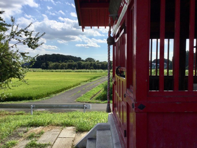 Beating the Heat in an Idyllic Saitama Landscape photo