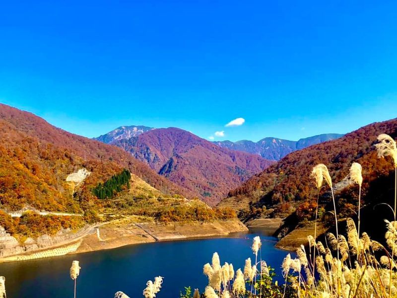 Glimpses of autumn in Niigata photo