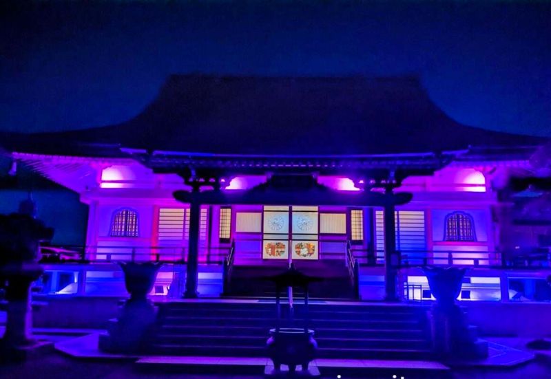 Pink Ribbon month light up photo