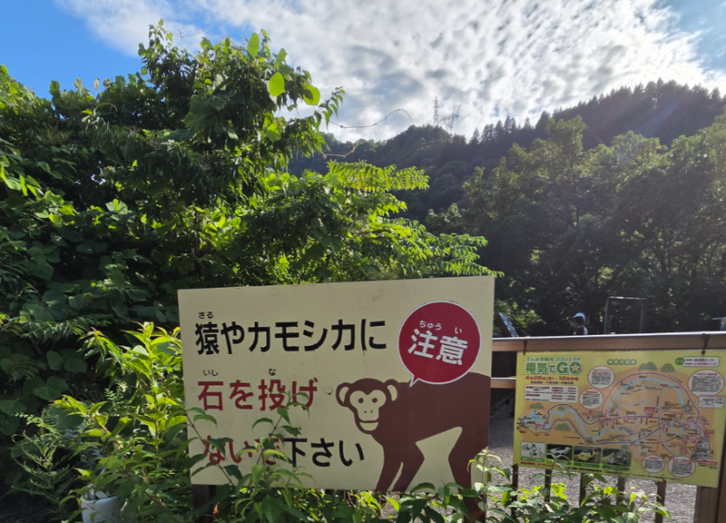 Monkeys, Serow, and a Simple Rule: Please Don’t Throw Stones photo