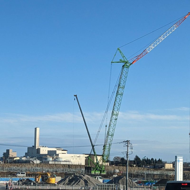 There's even a day for cranes! photo