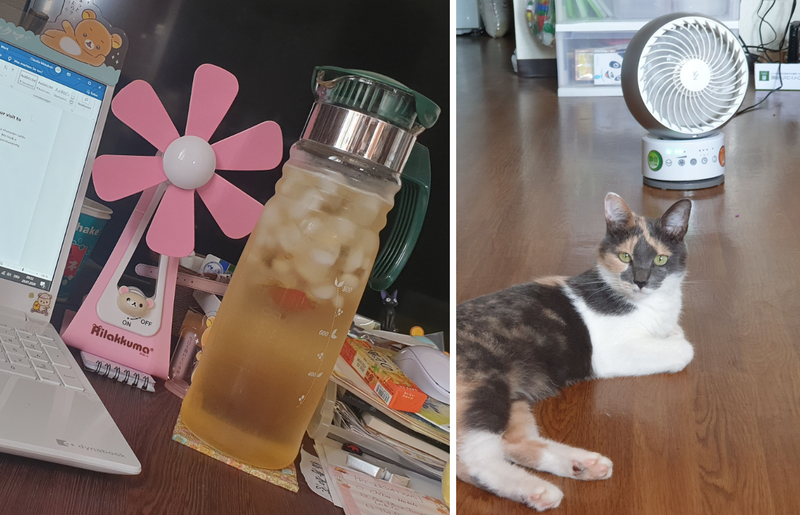 Trying to Stay Cool at Home during Japanese Summer photo