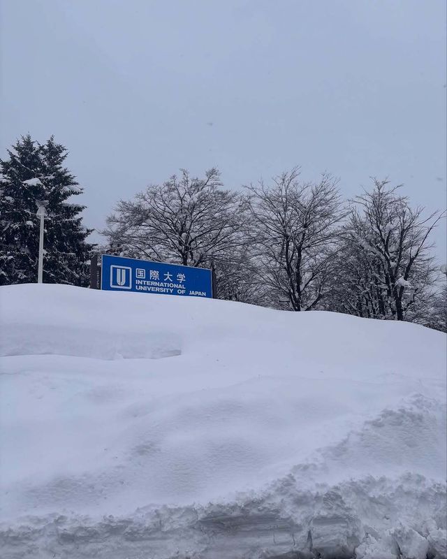 Why you should consider studying at a Japanese university photo