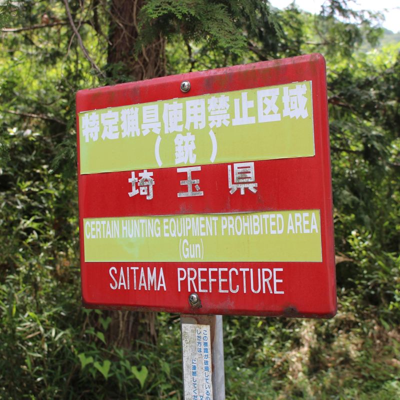 Start of hunting season photo