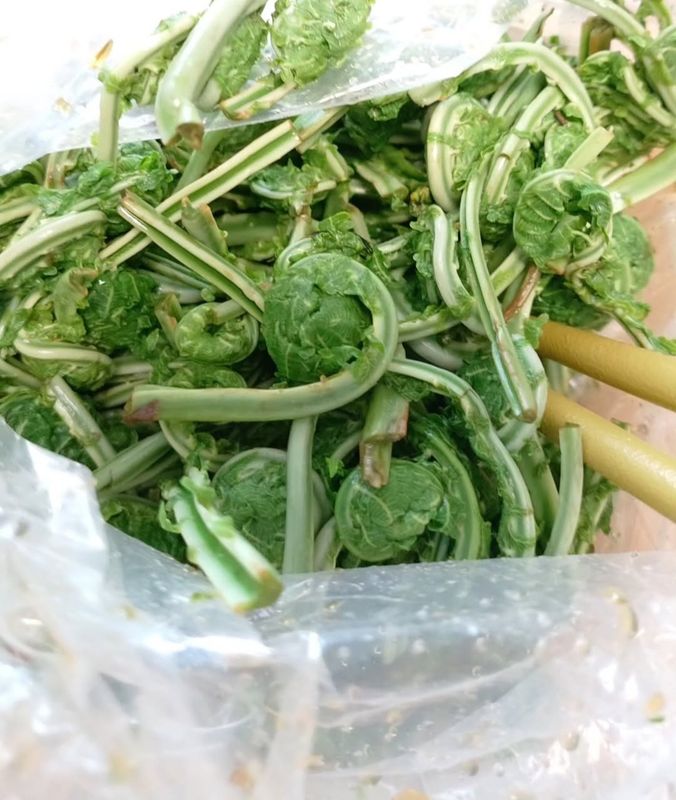 My favorite mountain veggie photo