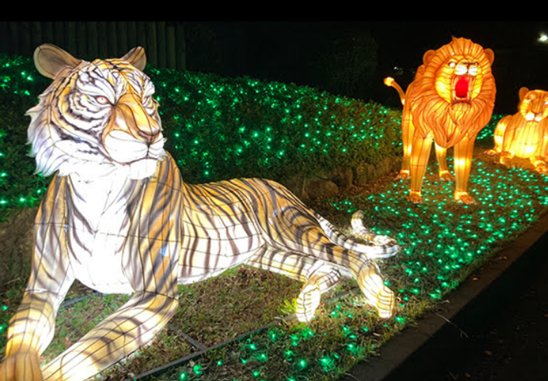 What to Expect at a Night Zoo in Japan photo