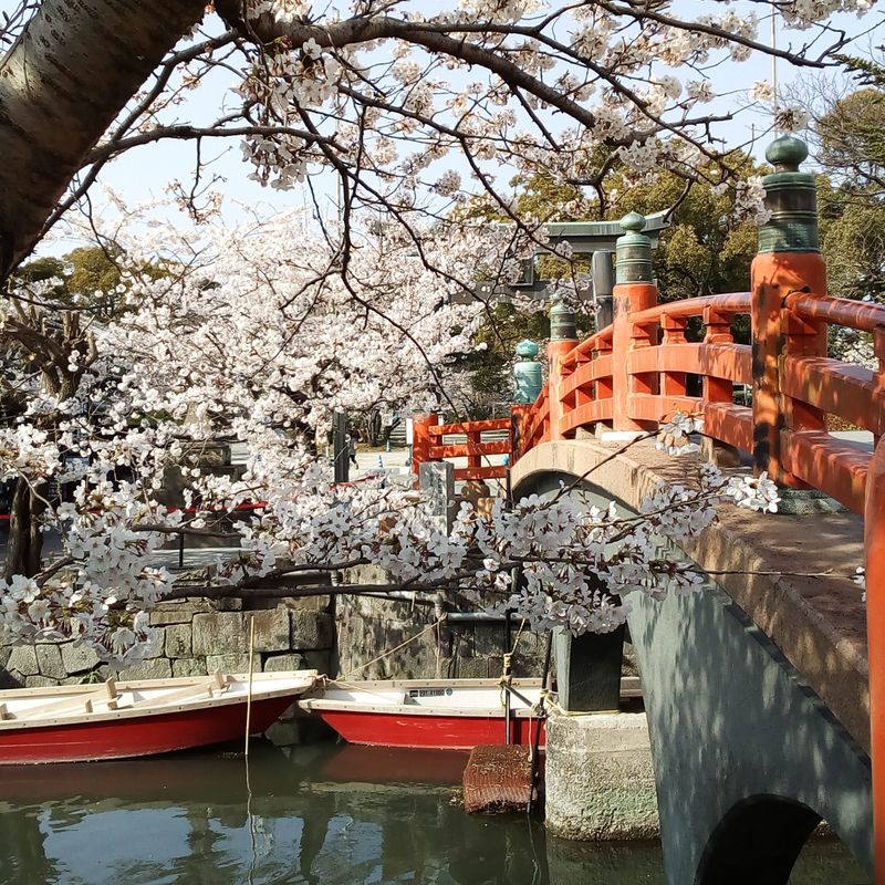 Yanagawa City's Sagemon Matsuri photo