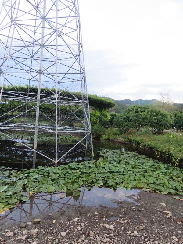 Ashikaga Flower Park in late summer photo