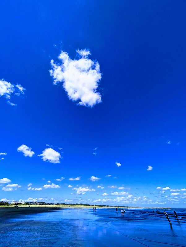 Blue Day for Environmental and Energy Awareness photo