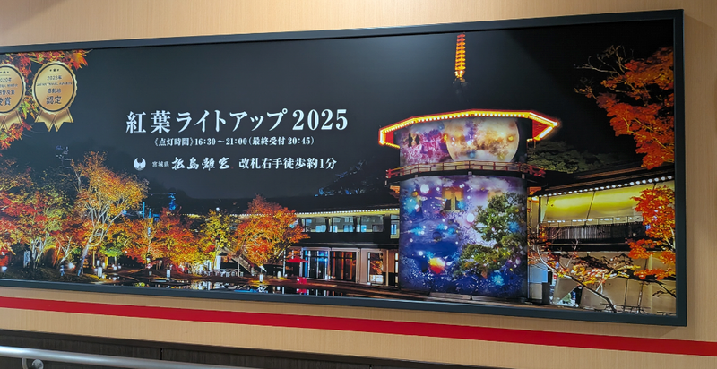 Matsushima Rikyu's Autumn Light Up photo